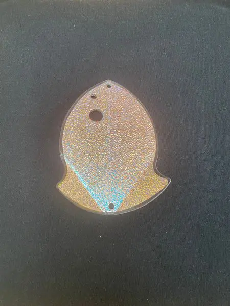 Close-up of a small, translucent sea creature on a dark surface.