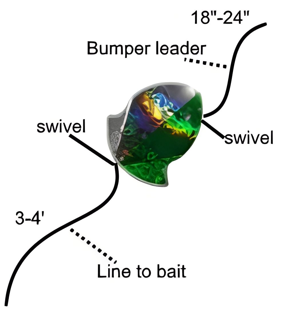 Fishing rig diagram with labeled components.