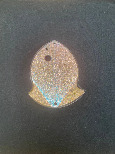 Close-up of a small, translucent sea creature on a dark surface.